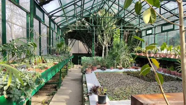 Ботанические сады