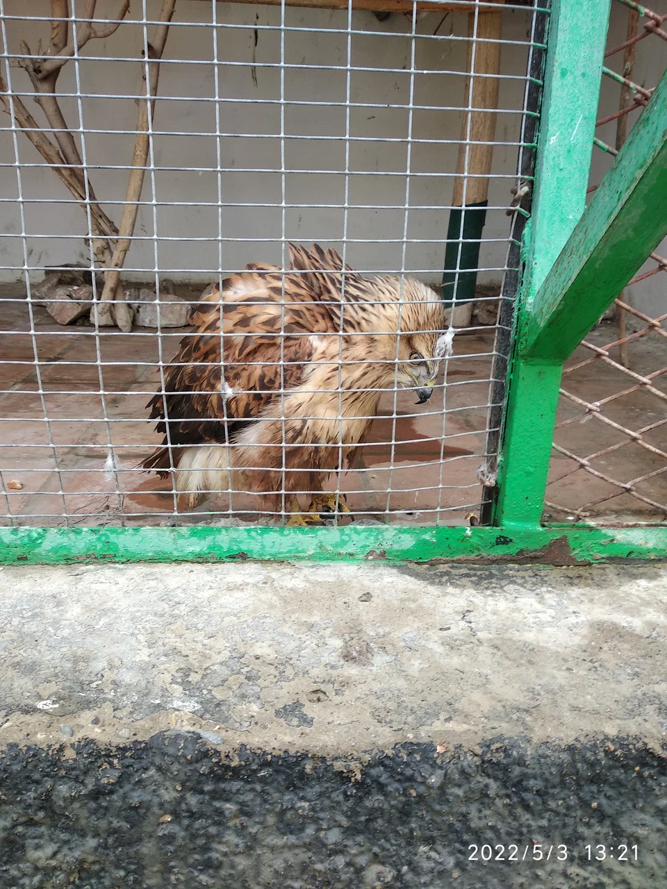 Шахрисабзский зоопарк