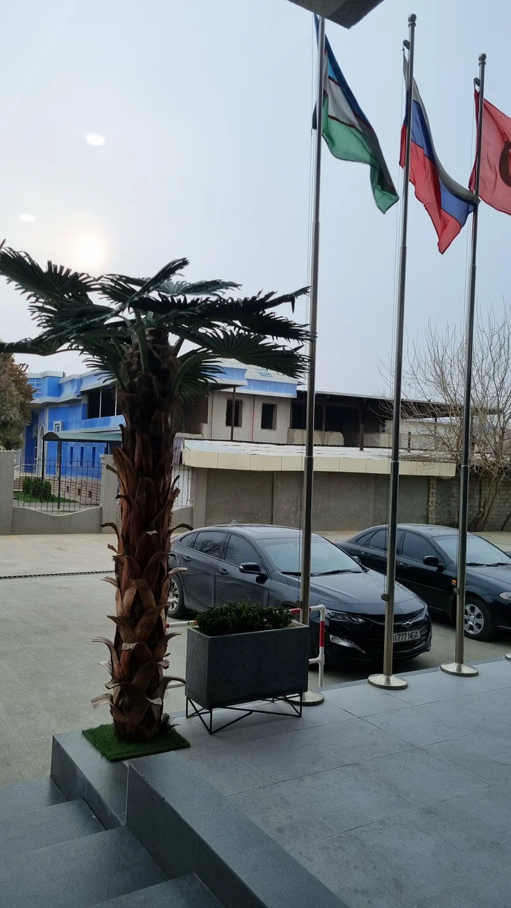 Oqsaroy
