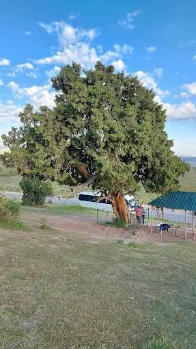 Zaamin davlat qo'riqxonasi