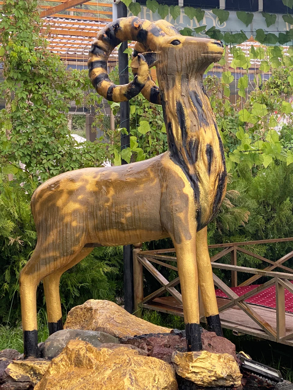 Сазанчик