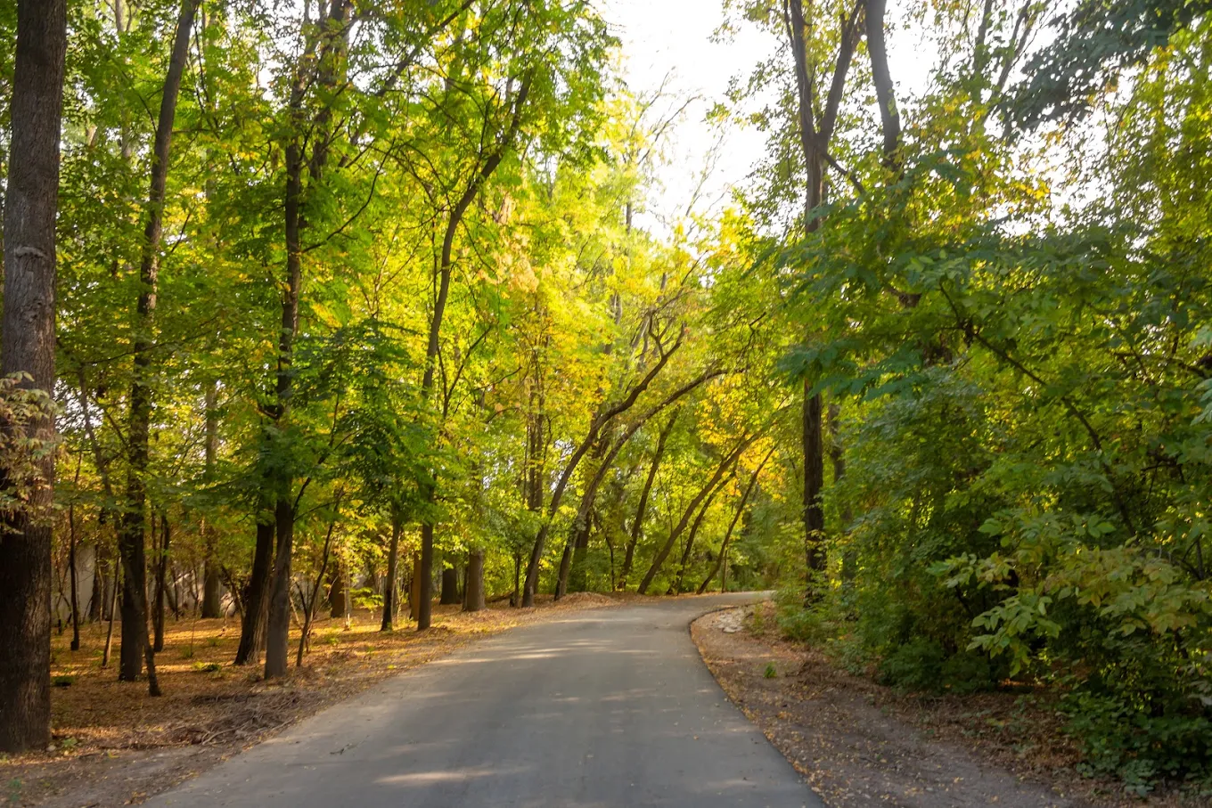 Ботанические сады