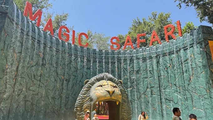 Magic Safari