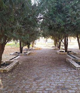 Парка мира Сиэтл