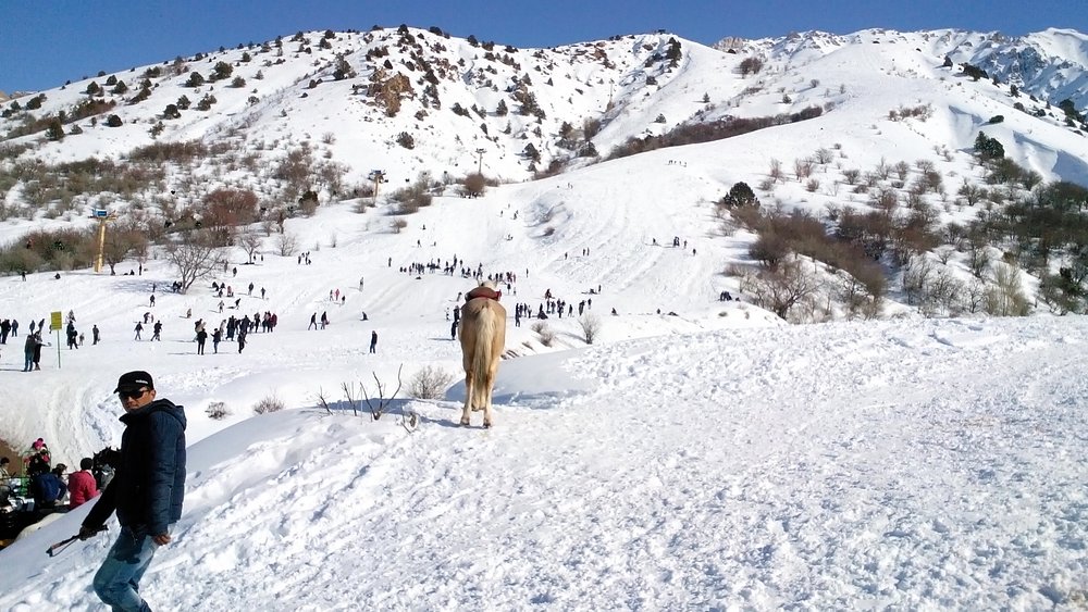 Горнолыжный курорт Чимган