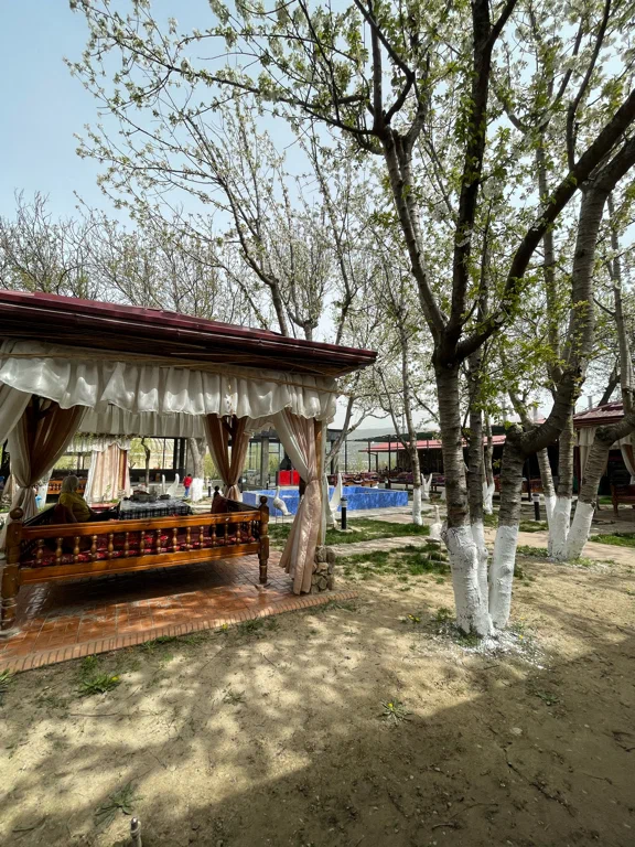 Mangal City