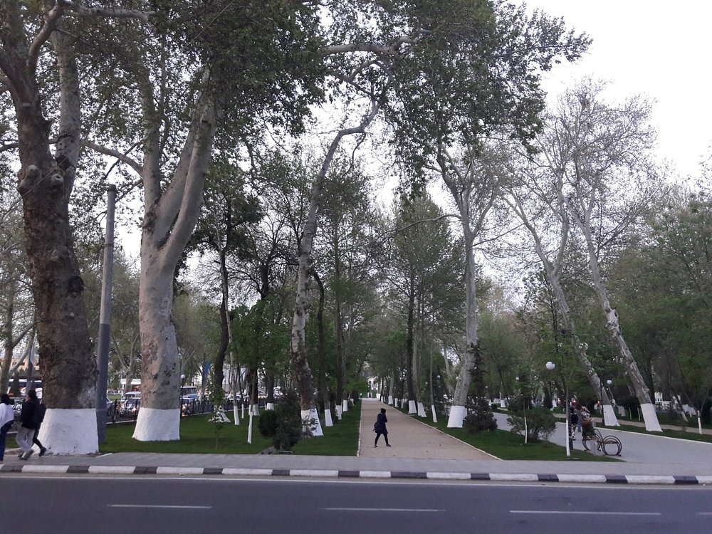 Университетский бульвар