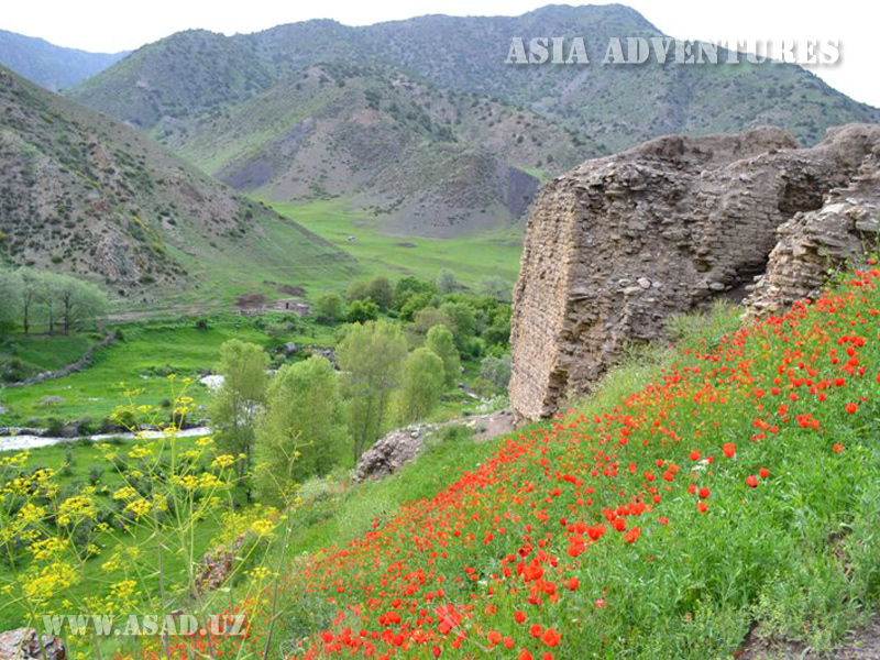 Zaamin National Nature Park