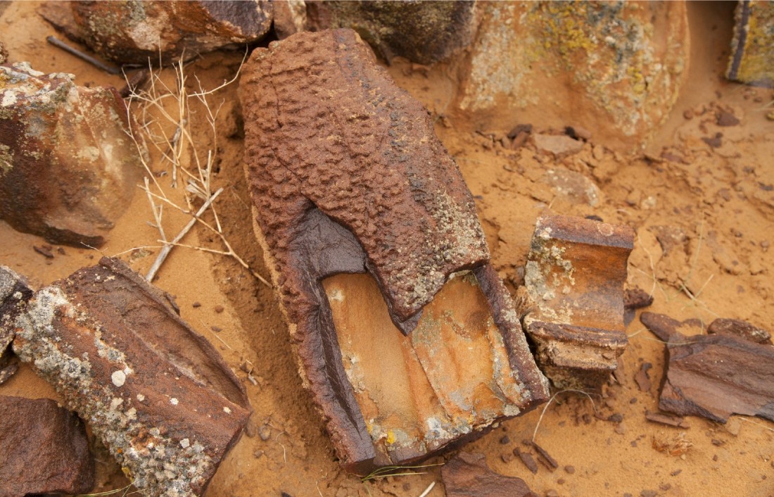 Каменный лес