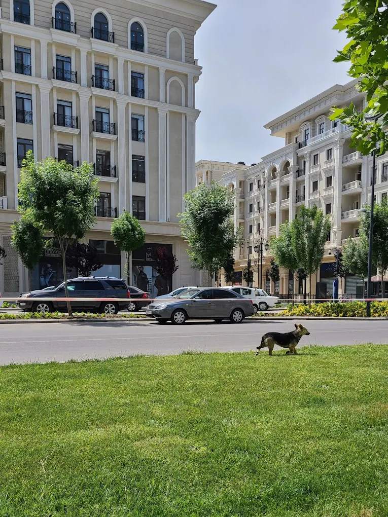 Tashkent City Park
