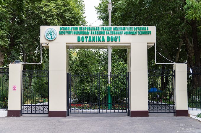Ботанические сады