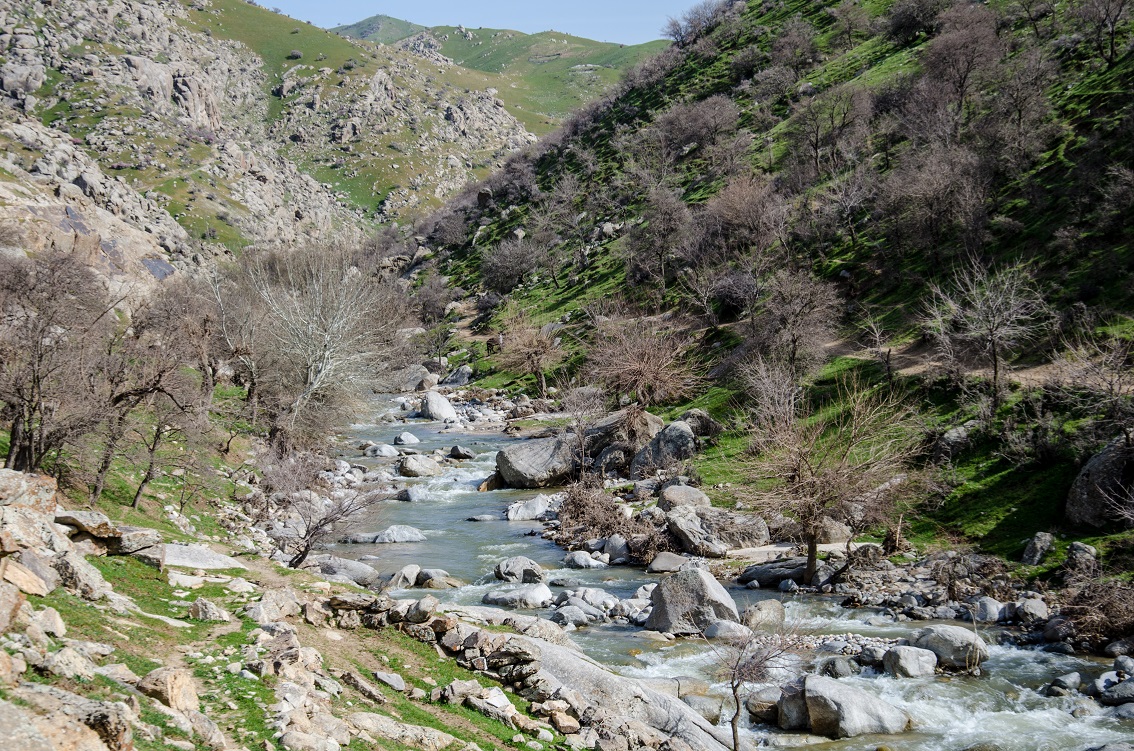 The Kalkaminsky reservoir and the mysterious stone with dinosaur tracks