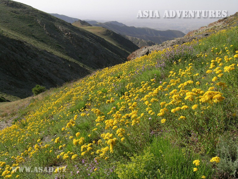 Нуратинский горно-орехоплодный государственный заповедник