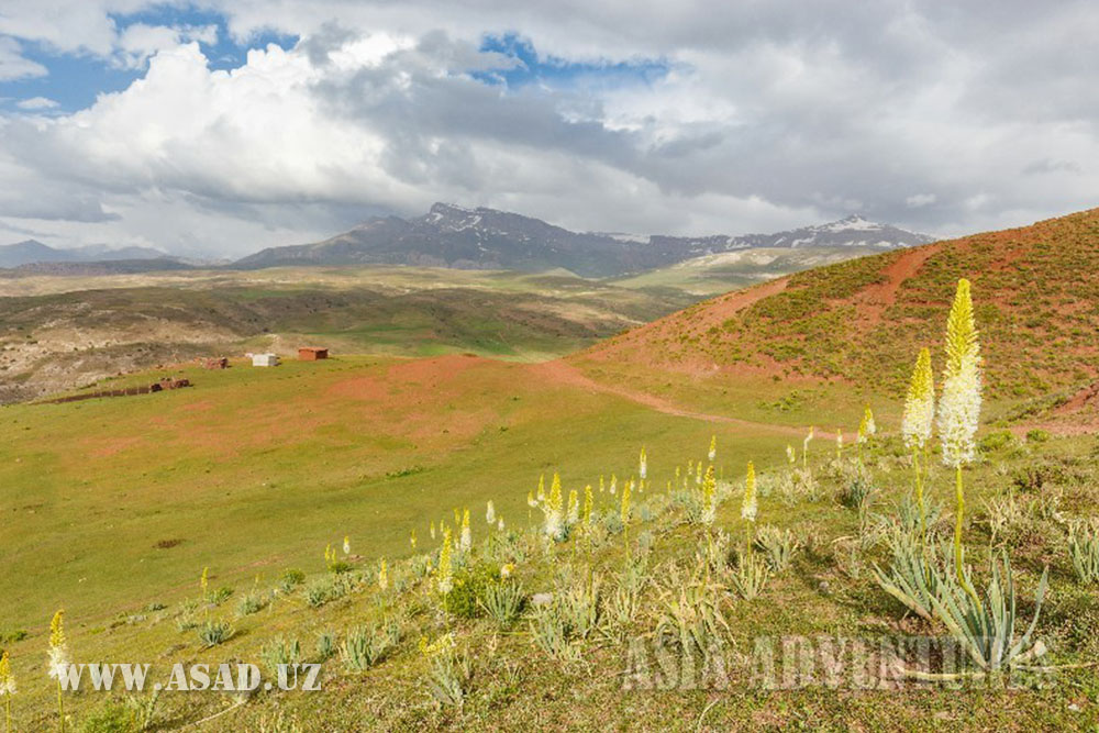 The Cave of Amir Timur