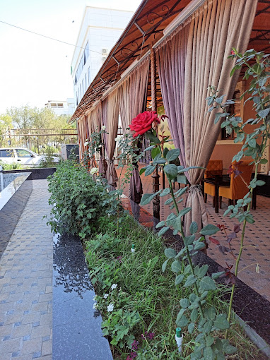 Алпамыс