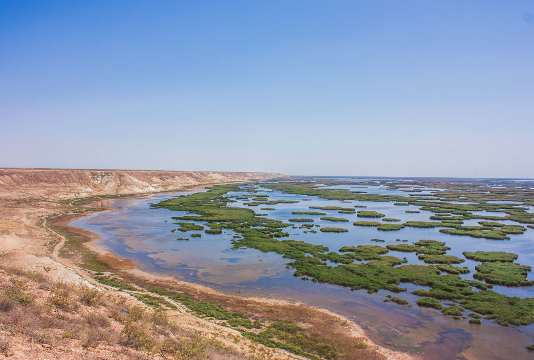 Побережье Аральского моря