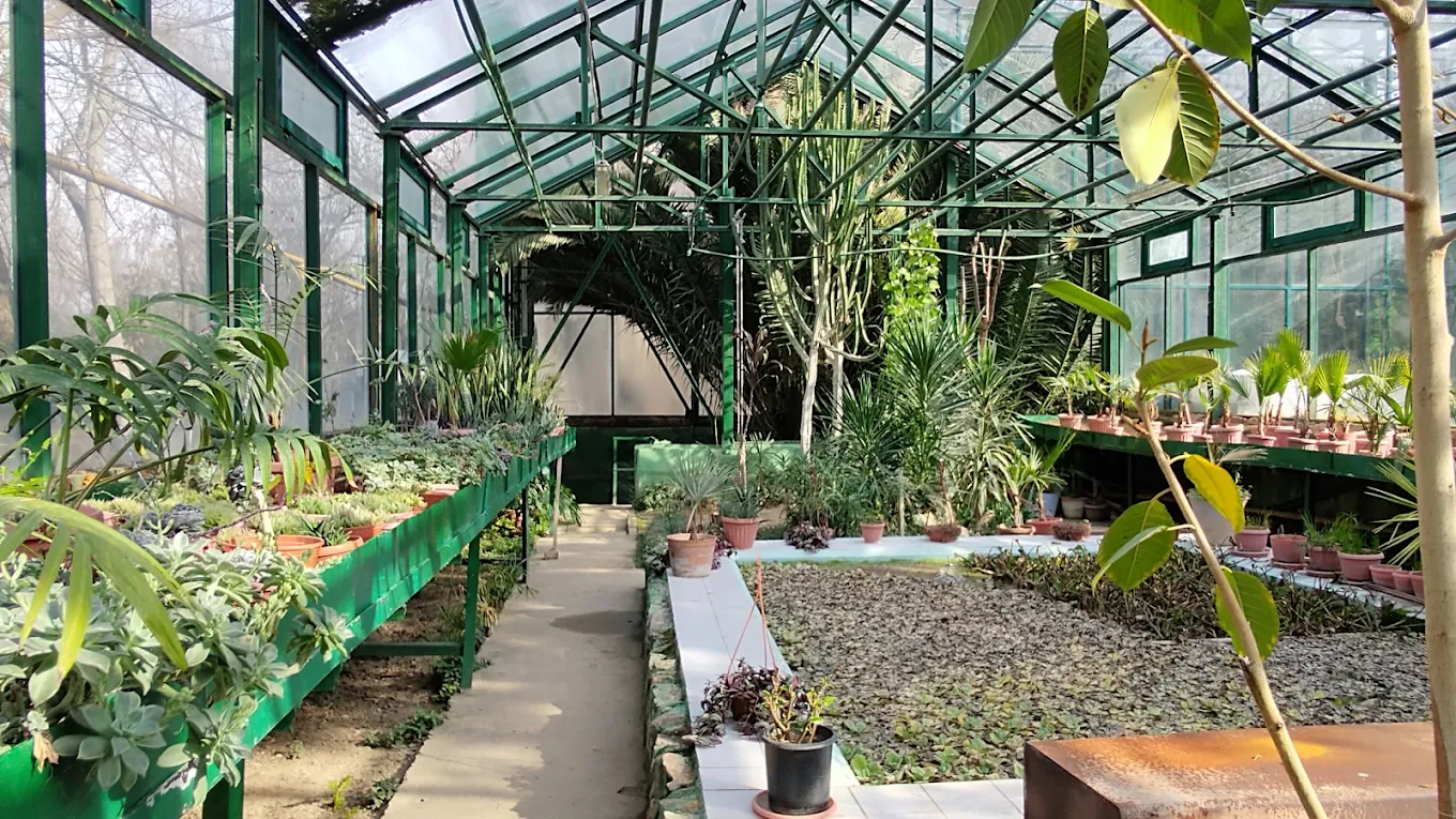 Ботанические сады