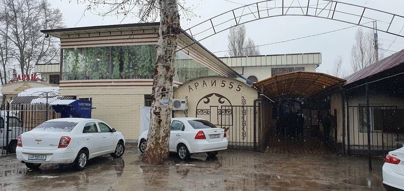 Тойхана Арал